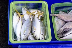 4种鱼已被列入“致癌名单”，吃多了会致癌，可信吗？告诉你真相图片