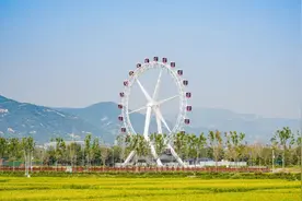 太原稻田音乐节交通导行图来啦图片