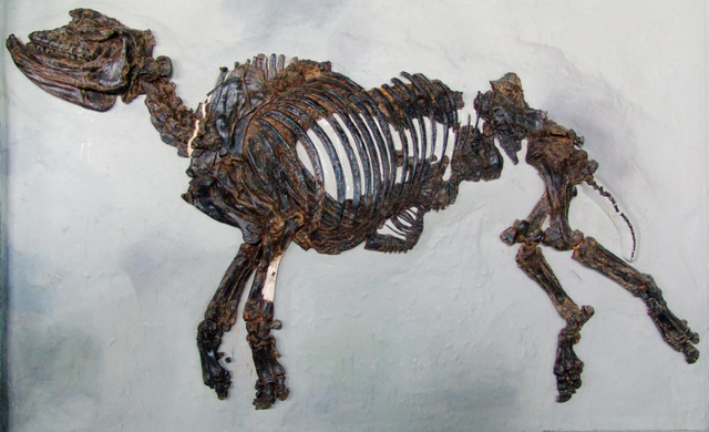 听我的！冬天来临朐，这篇攻略一定要提前存好