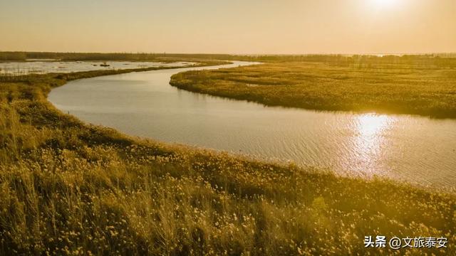 静湖、暖阳、慢时光！入冬后的东平湖已经美成人间的童话啦~