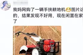 拼多多还真是啥都能买到！网友的评论简直太离谱，购买欲直接拉满图片