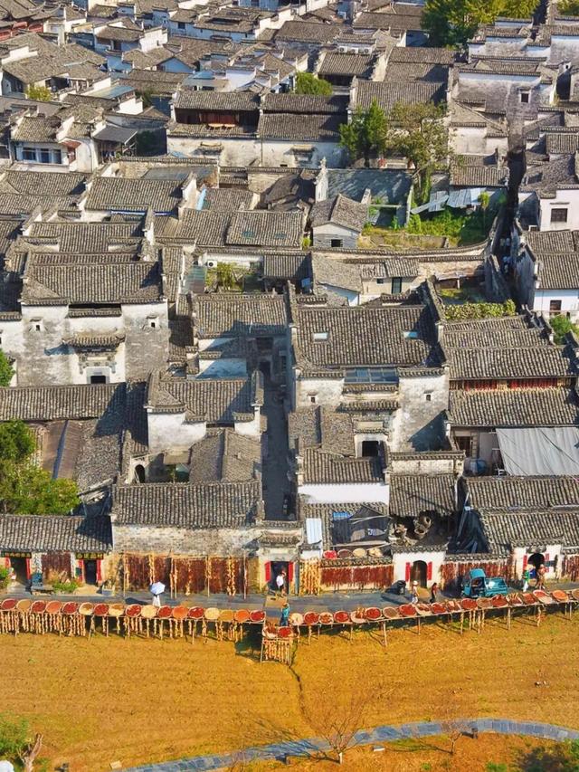 这个秋日，西递超好看的！| 皖美秋日