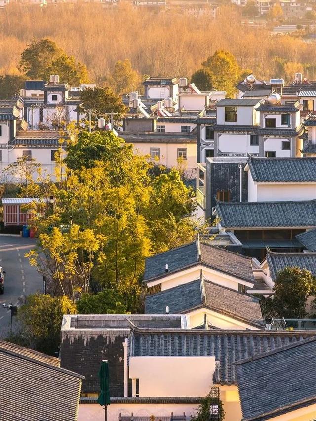 接下来2个月，这16个地方的秋色迎来“封神”之作，挑一个出发！