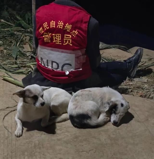 反向旅游神操作！四川眉山9块9自助偷甘蔗火出圈，吊打5A景区？