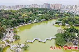 时间定了！南宁市人民公园九曲桥这天重新开放图片