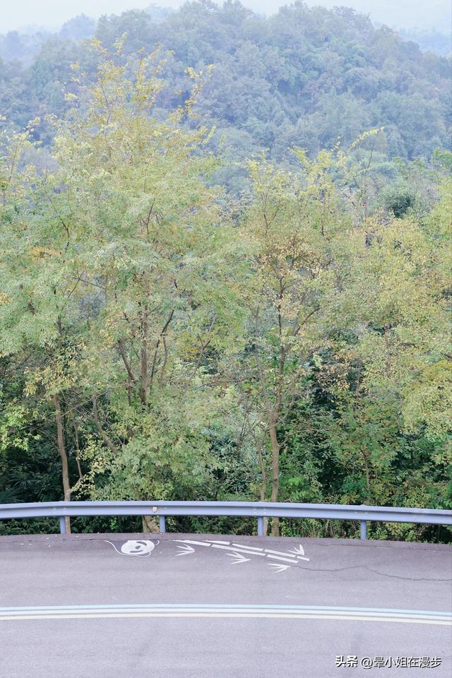 崇州竹艺之旅，带娃去去逛竹村、玩竹编、爬竹山、捡秋竹