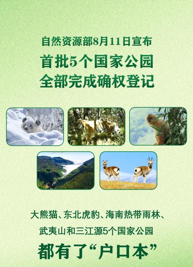 今日要闻！8月12日凌晨2点前，成都世运会中国目前金牌榜第一