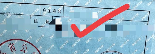 育儿补贴一直处于受理状态没有成功的，都去查下这个地方！！
