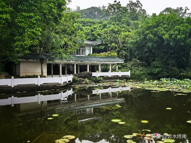 一个五A级植物园，到底藏着哪些值得看的地方，这是最实在的攻略