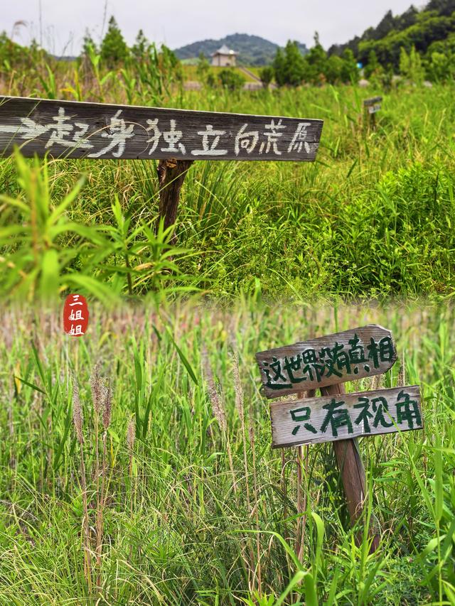 溧阳石塘村，不是食堂，是文艺青年的梦想天堂
