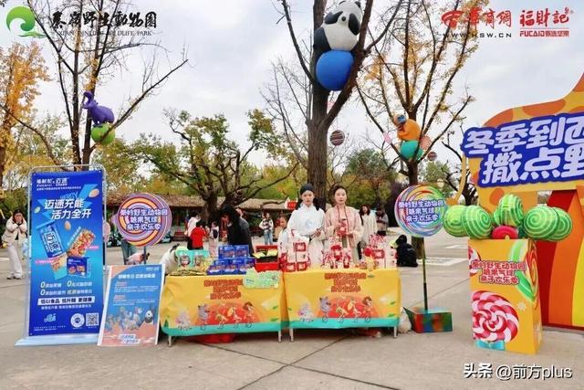 半价游西安！冬日景区福利上线