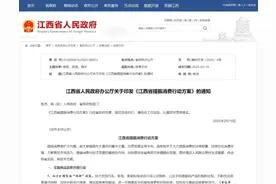 七大方面提振消费！江西出台行动方案→图片