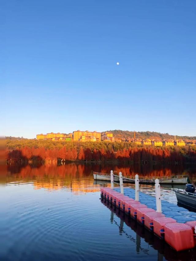 蓝天碧水映红杉，收集昆明最温柔的橘色