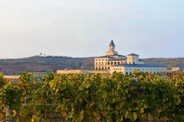 山东这座宝藏小城，坐拥中国四大名楼之一！苏轼、秦始皇都为它打call！