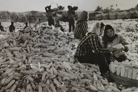 知青往事|1968年，初到生产队生活：17岁女知青的插队日记首公开图片
