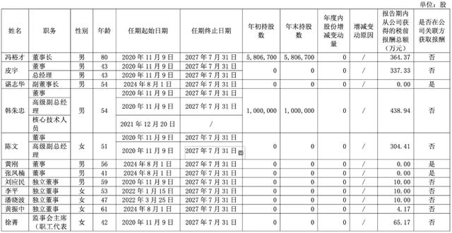 突发！达梦「总经理、皮宇」被立案调查、留置