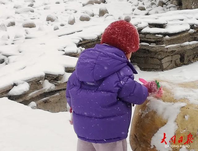 雪落平城！一场“认真的初雪”，给大同裹上冬日白纱～