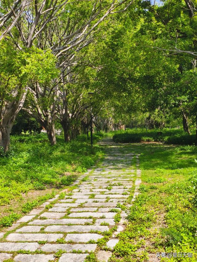 泉州旅游第一站，来到福建最强县级市，真有王炸！