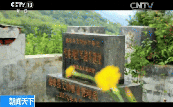 8月出发正好！这条不挑车型的清凉秘境线，引起极度舒适！
