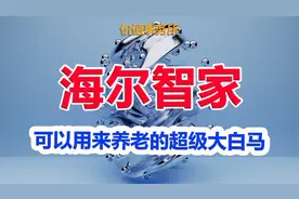 堪比茅台，中国最知名，真正可以持有，用来养老的超级大白马图片