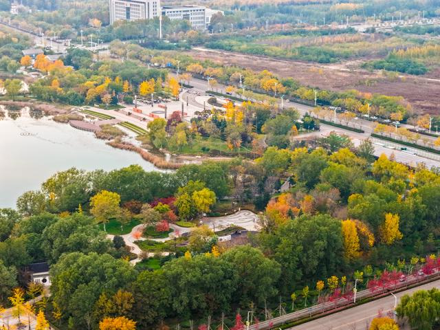 初冬访复圣文化园：与色彩和哲思对话