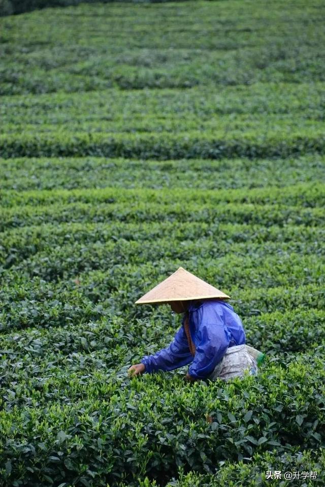 在夹关古镇见世面了，寻景尝鲜还能赶场！
