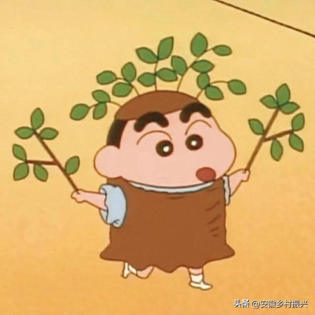 早晨6点去公园抱树
