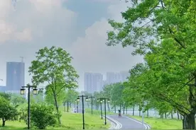 人少还免费！武汉这些小众公园，你去过了吗？图片