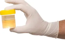 肾不好，百病丛生！孙思邈击1穴，补肾壮阳，人长寿！图片