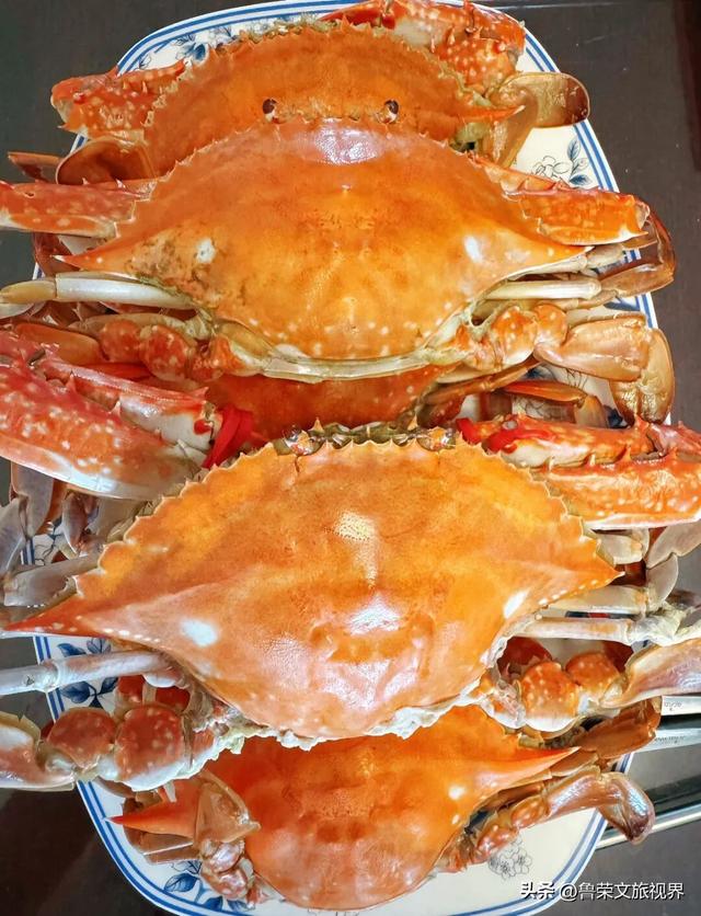 冬日连云港：一半冰雪，一半沧海的浪漫秘境