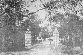 蔡元培：成就青岛光辉一页图片