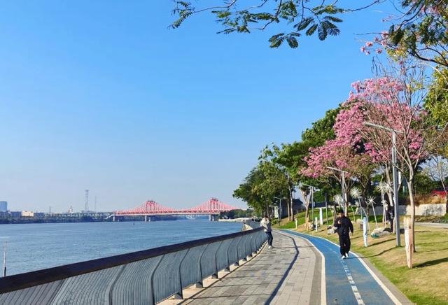 湾区周末IN东莞 | 崇焕故里向你发出City Walk邀约,一起逛墟市、走花路、访古村~