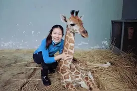 00后找工作有多“野”？女孩剑桥毕业跑来上海喂大象！网友热议：人才浪费or追随热爱？图片