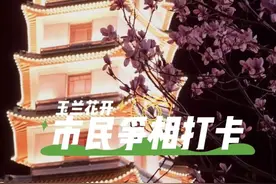 这几天郑州人都在这里拍玉兰花！怎么拍出粉色二七塔？攻略来了→图片