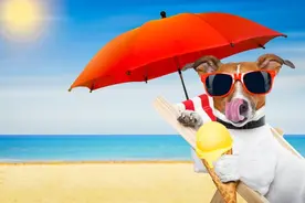 这样网络热“梗”你们都知道几个？图片