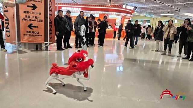 太火爆！“湾里”正式启幕！现场直击来了——