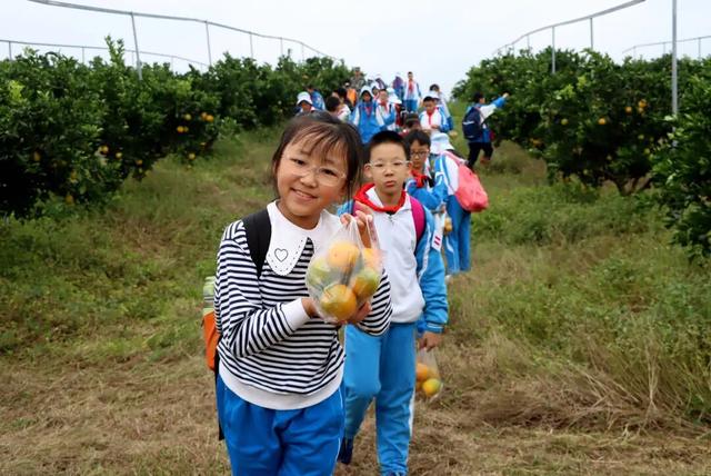 热气球、露营、寻宝……秋假快来金堂这里！