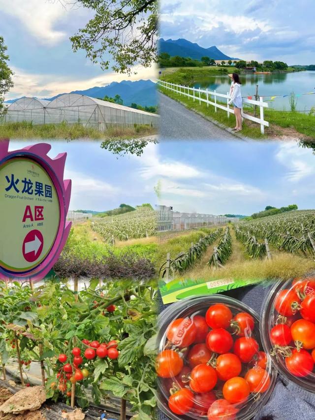 韶关冬日BBQ营地推荐来了→美食美景全都满足你