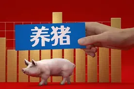 牧原、温氏、双胞胎…最新养猪成本公布！6家猪企突破6元！图片