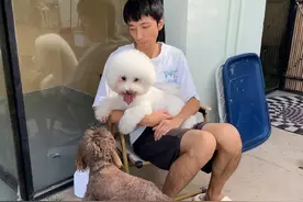 职业新舞台 | 乡村宠物寄养员：照顾好毛孩子，为的是抚慰人心图片