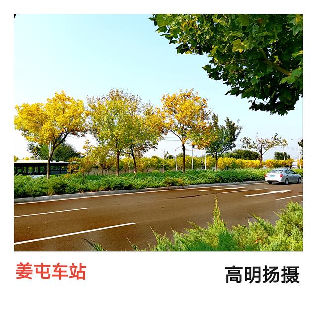 一叶落地，秋天到了，昌平秋色美。