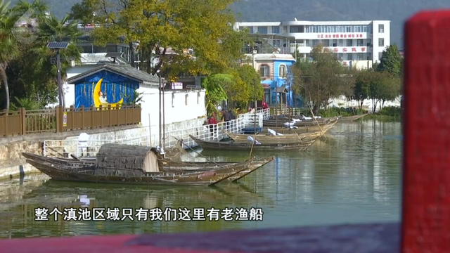 这个静谧小渔村，藏着彩虹桥、木栈道、老渔船、湖光鸥影……