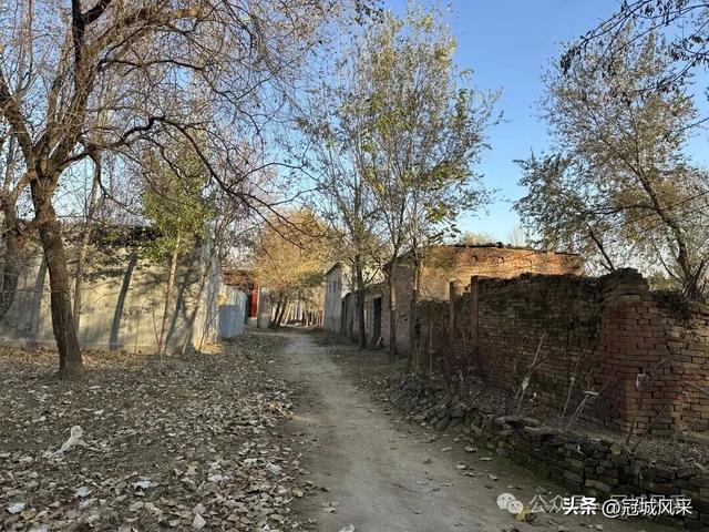 冠县乡韵·贾镇荆楼村