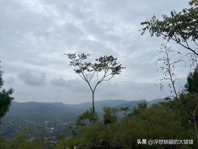 蒙阴七十二崮之一的瞭阳崮，不仅有壮丽风光，还曾有过血雨腥风