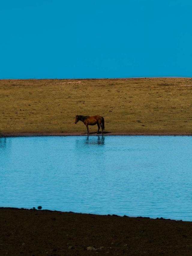 人类为何迷恋万物 ​