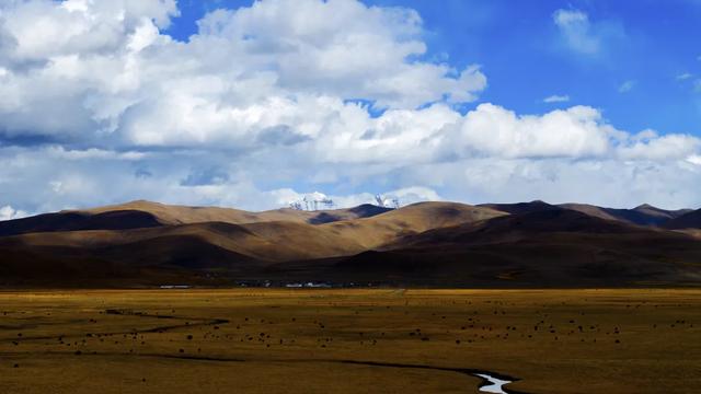 【辉煌60年·新时代西藏答卷】哲古草原:与藏野驴的秋日私语