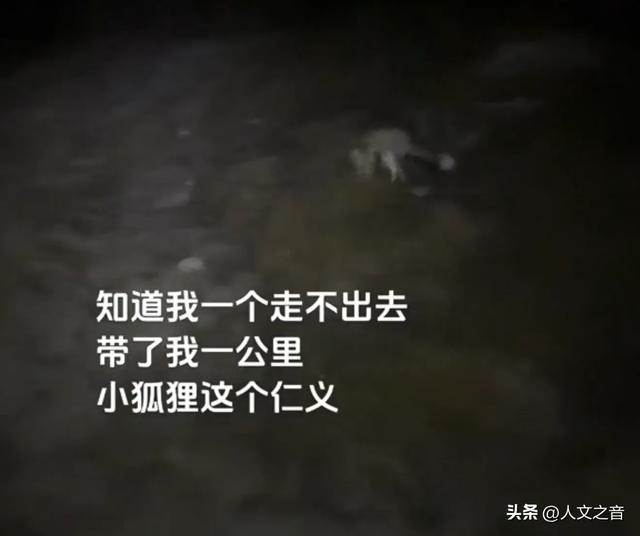 国庆假期奇闻：被困五台山偶遇狐狸引路
