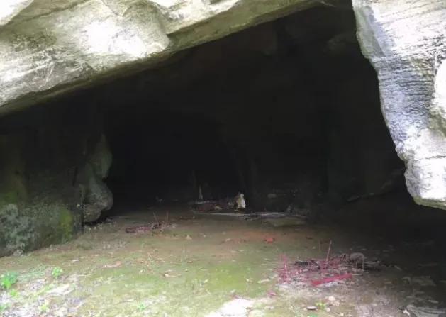常德鼎城区一日游十大必去旅游景点