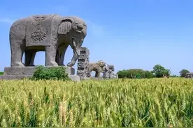 你认为河南人怎么样？图片