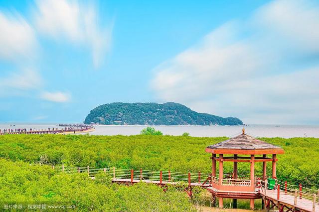 海味阳江:左手海鲜盛宴,右手千年渔风,快来这里赶海呀